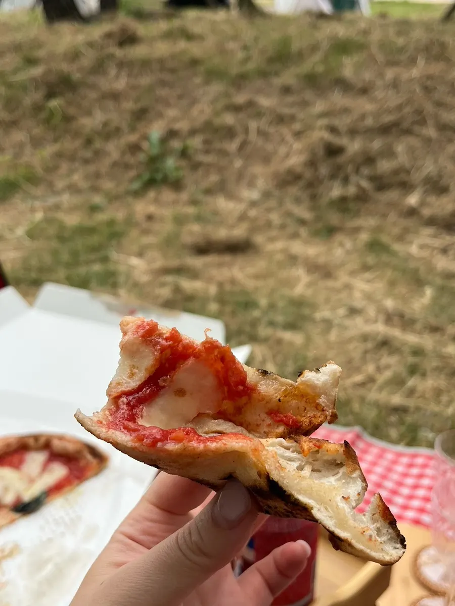Heart-shaped Margherita pizza and nachos laid out on the blanket