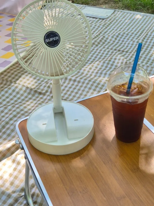 Han River picnic setup including a fan and a table
