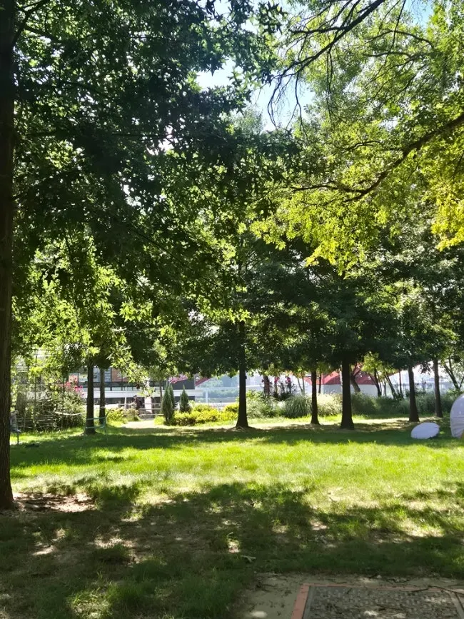 View of Mangwon Han River Park seen from a camping chair