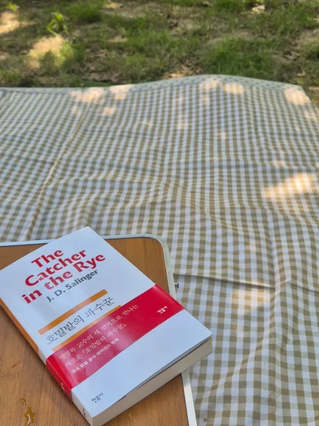 Reading a book while lying on the mat during a Han River picnic