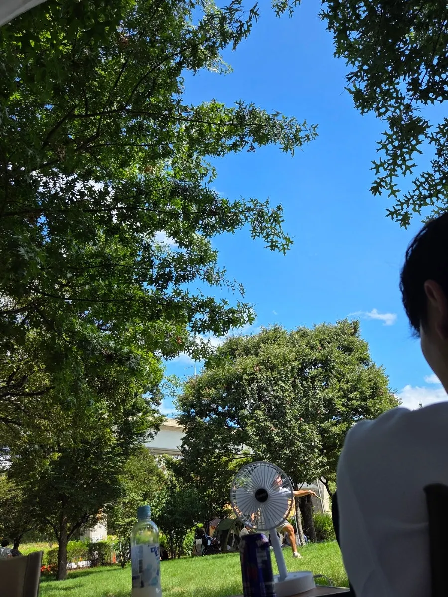 보드게임을 하며 보내는 한강 피크닉