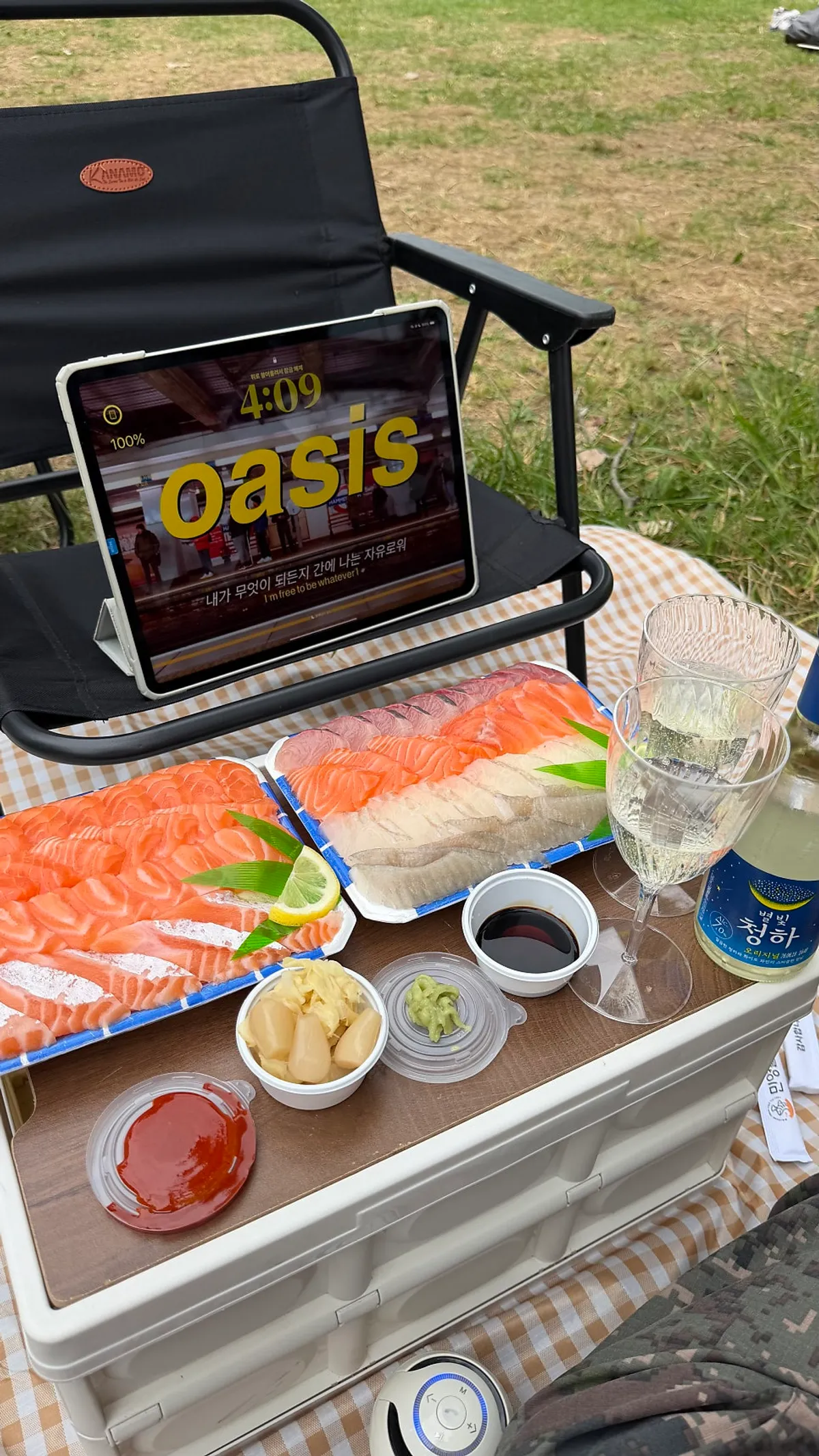 Picnic scene at Mangwon Han River Park