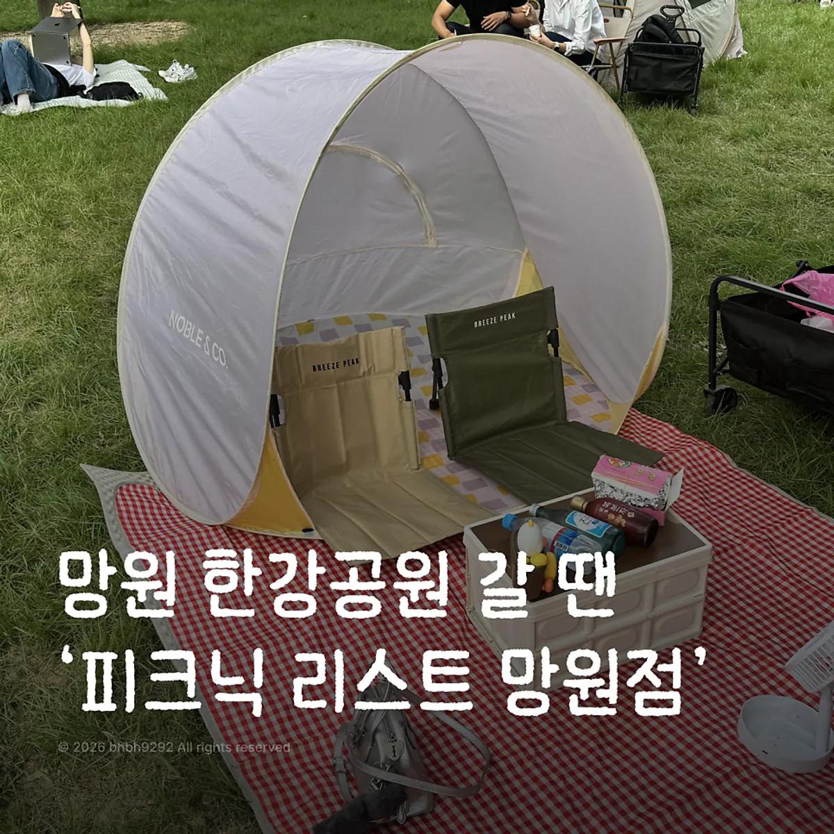 망원 한강공원 피크닉 세팅 대표 사진