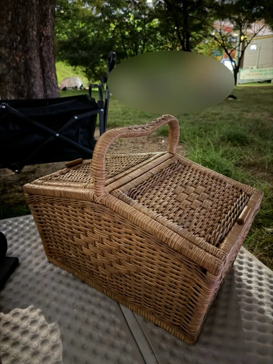 Rented portable charger used during the picnic