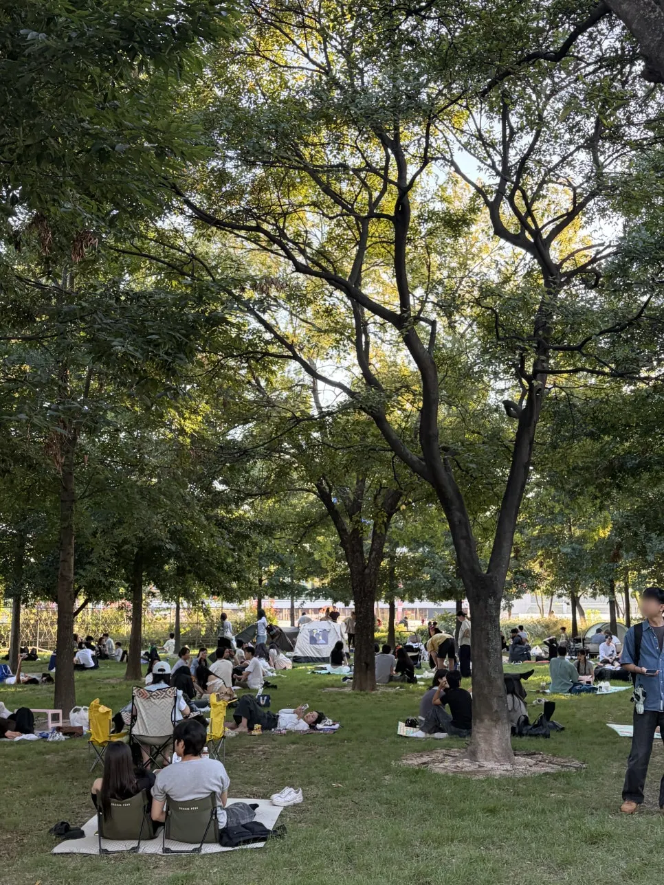 Clear-skied view of Mangwon Hangang Park