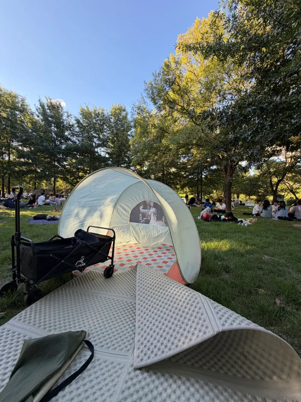 Picnic props laid out on the mat