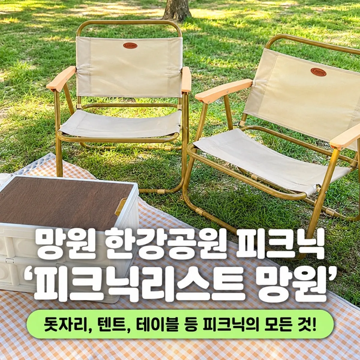 Cover photo of a picnic at Mangwon Han River Park