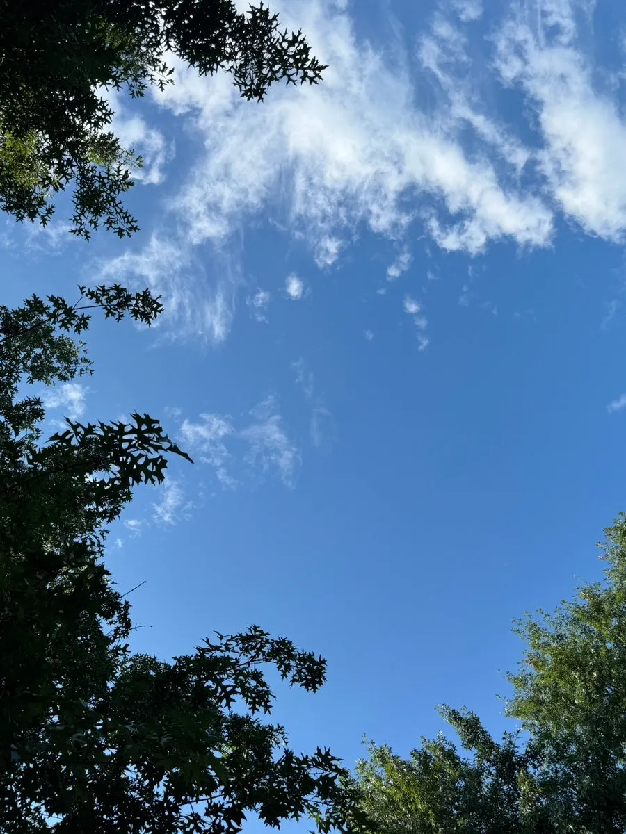 Sky viewed while lying on the mat