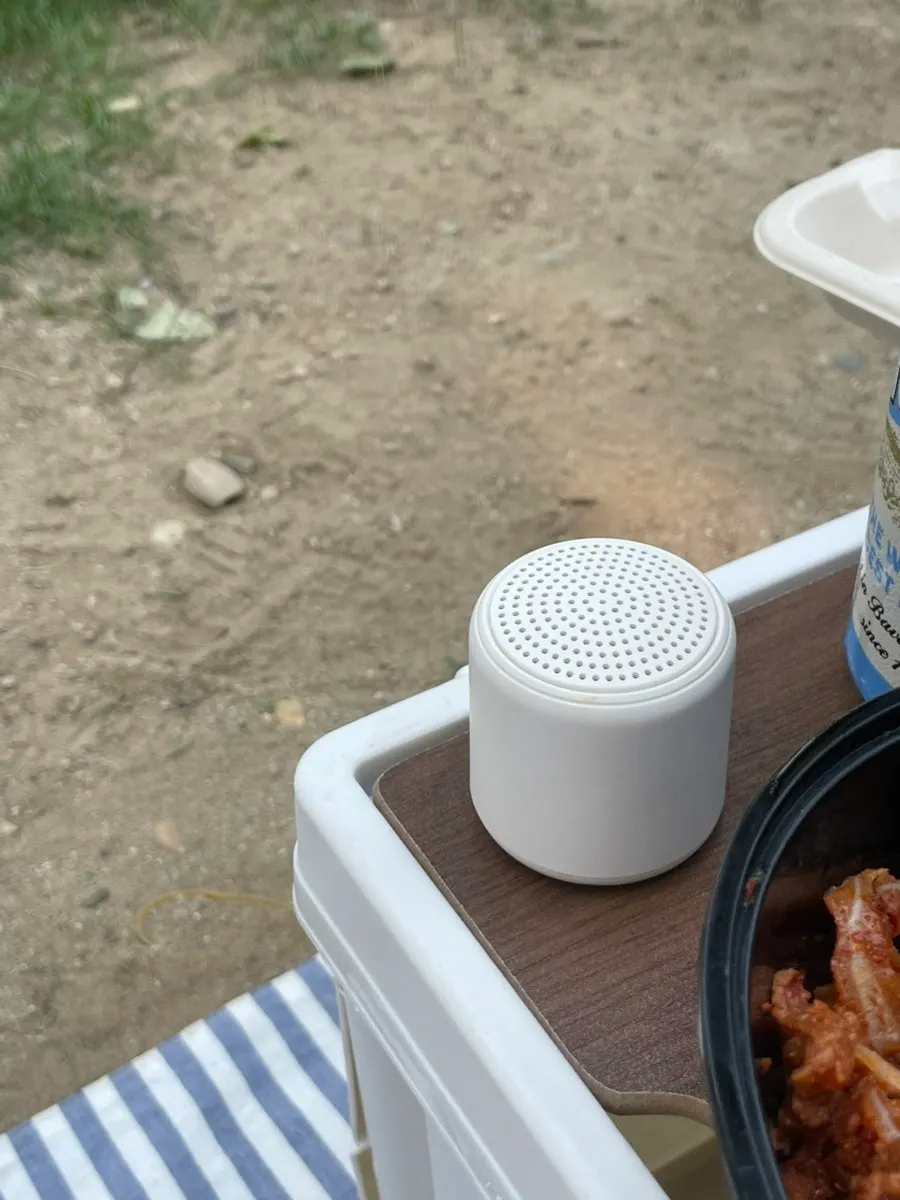 A set of rented picnic props