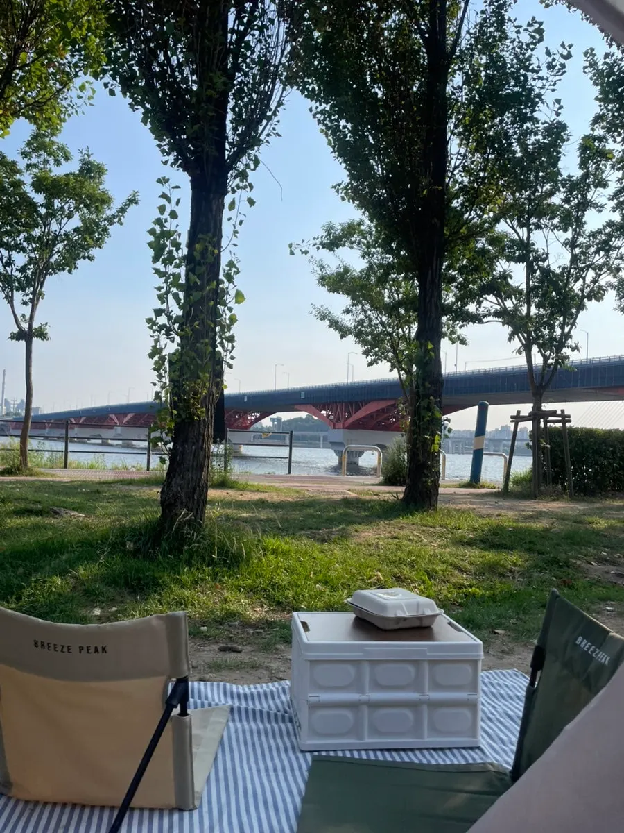 View of the Han River from inside the tent