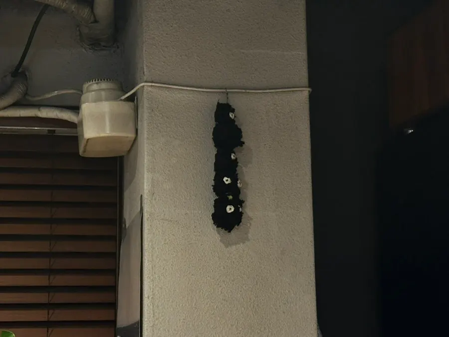 Cute little details scattered throughout the shop