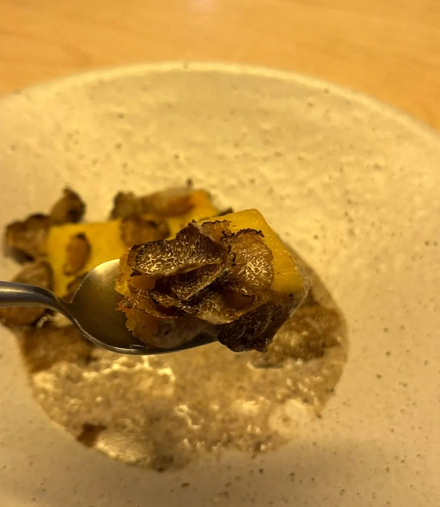 Square potato truffle gnocchi