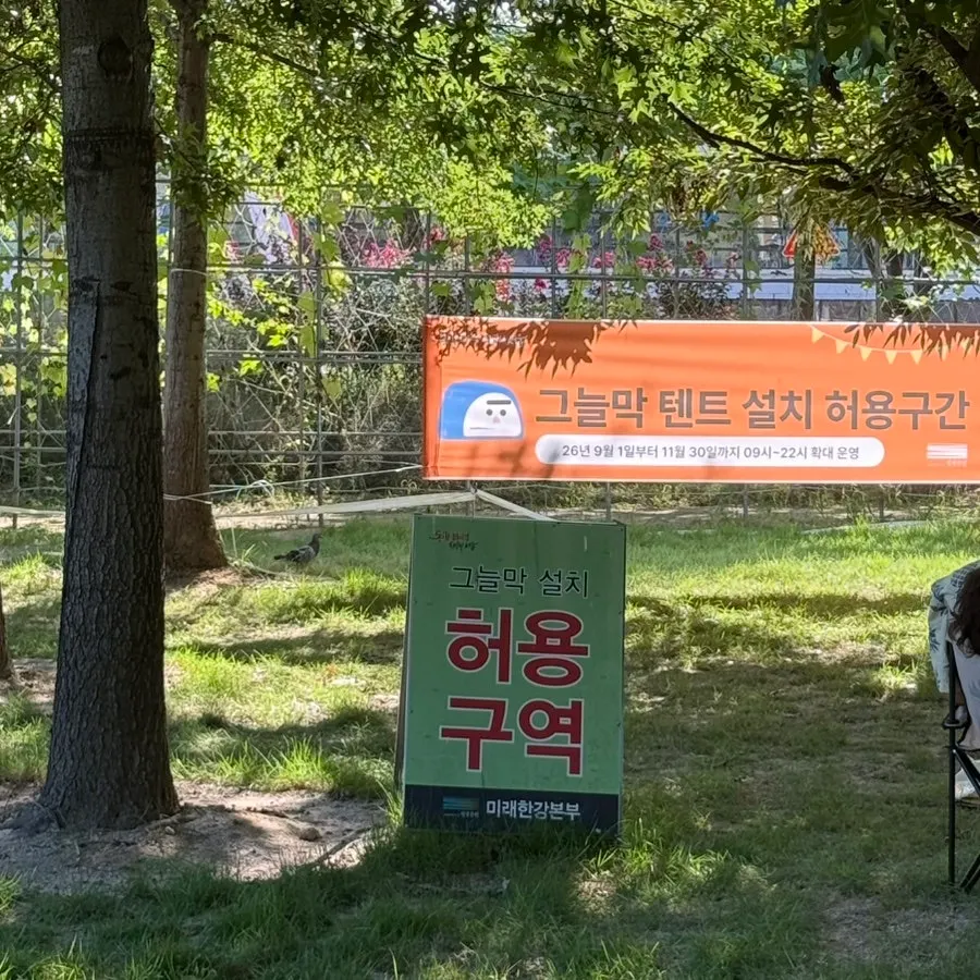 망원한강공원으로 향하는 피크닉 준비