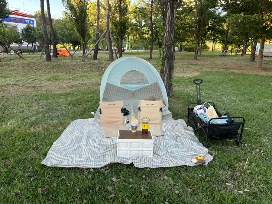 Picnic rental set items