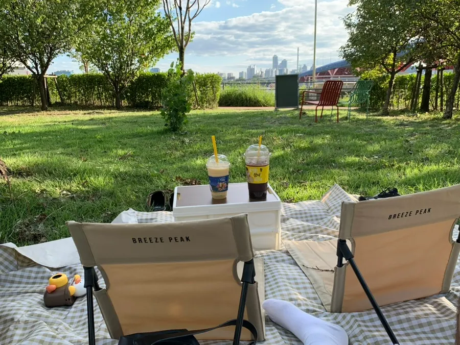 Picnic setup at Mangwon Hangang Park