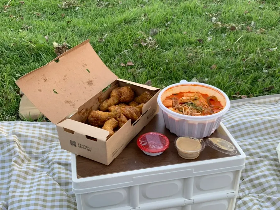 Food delivery picnic at Hangang Park
