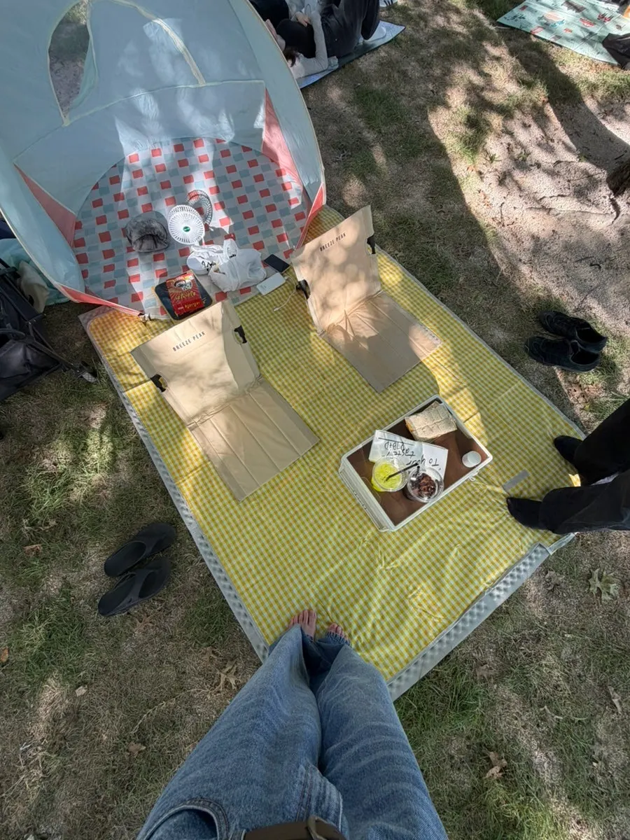 Board game enjoyed at an outdoor picnic