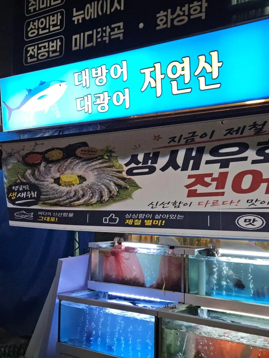 오마카세 손님이 많은 마포밤바다 매장 내부