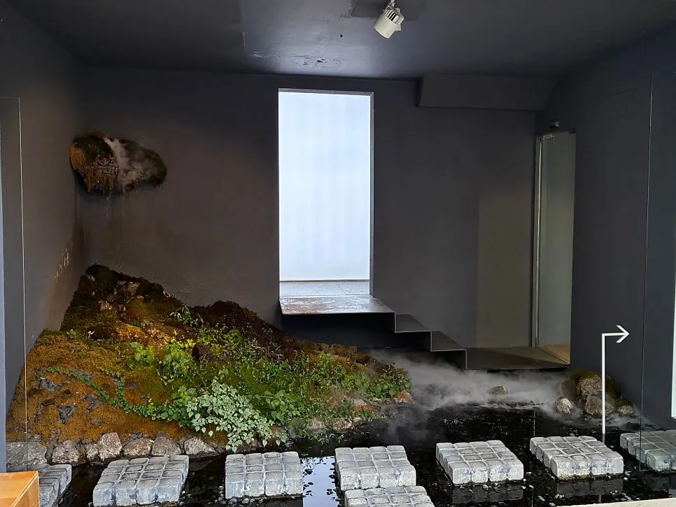 Small indoor garden with a water-covered floor