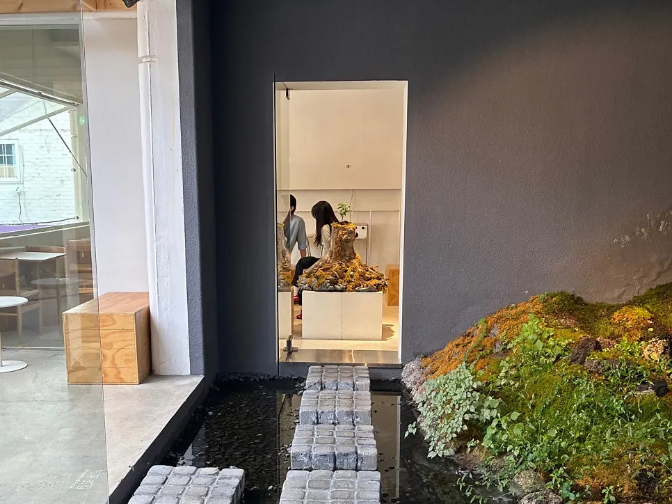 Indoor garden space with rising mist
