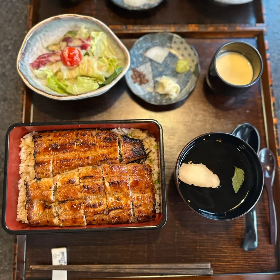 밥 위에 올린 장어 클로즈업