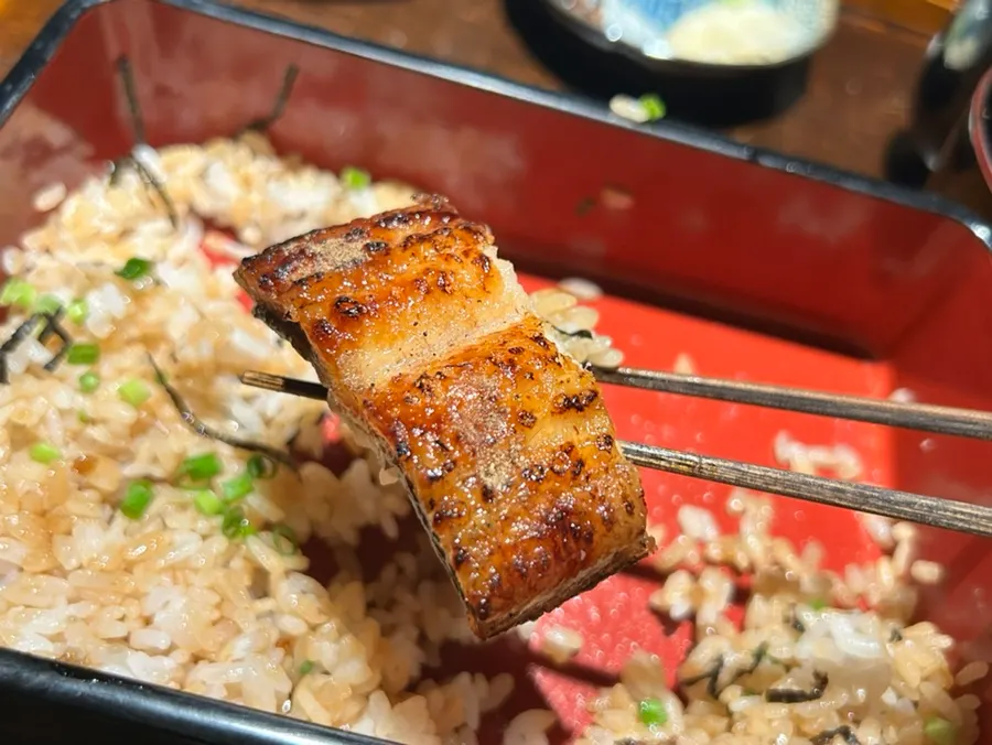 Full eel rice bowl with the rice completely covered in eel