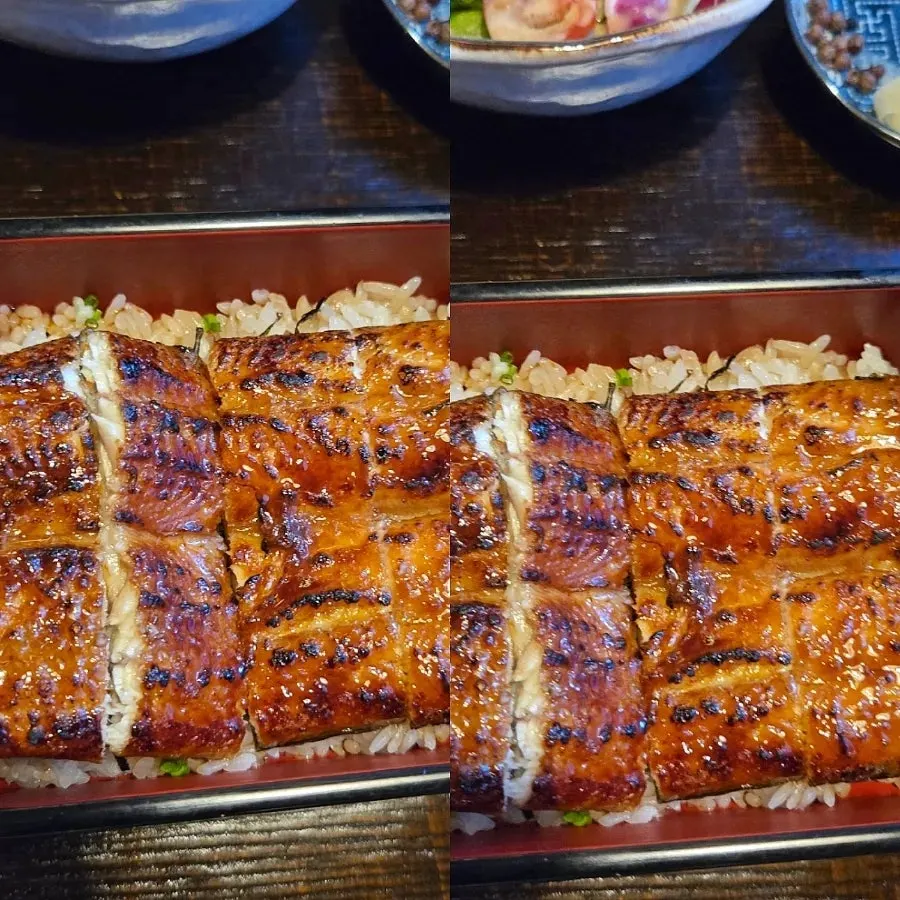 Half eel rice bowl with eel piled on top of rice