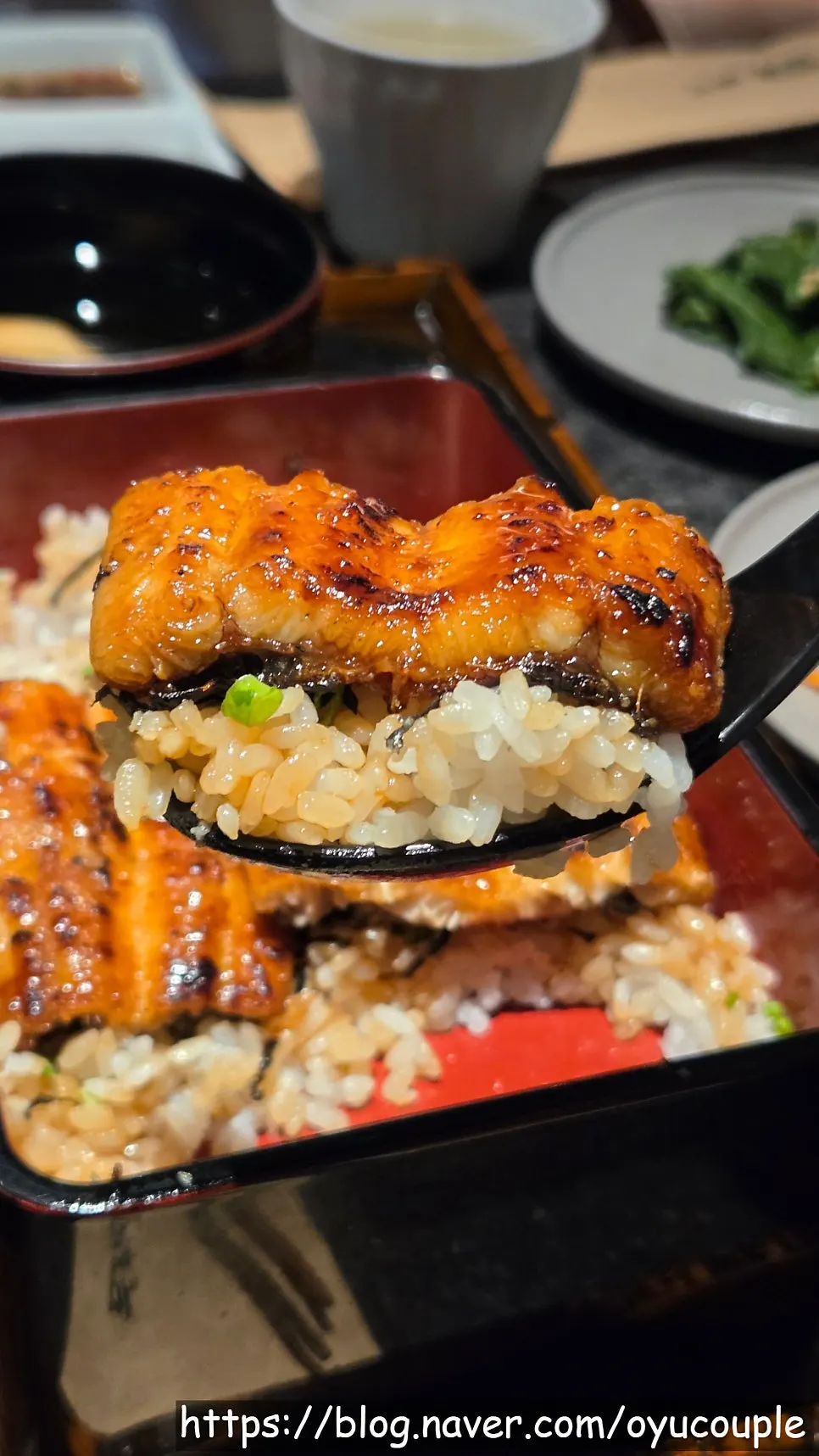Whole eel laid over rice in Manmok's eel rice bowl