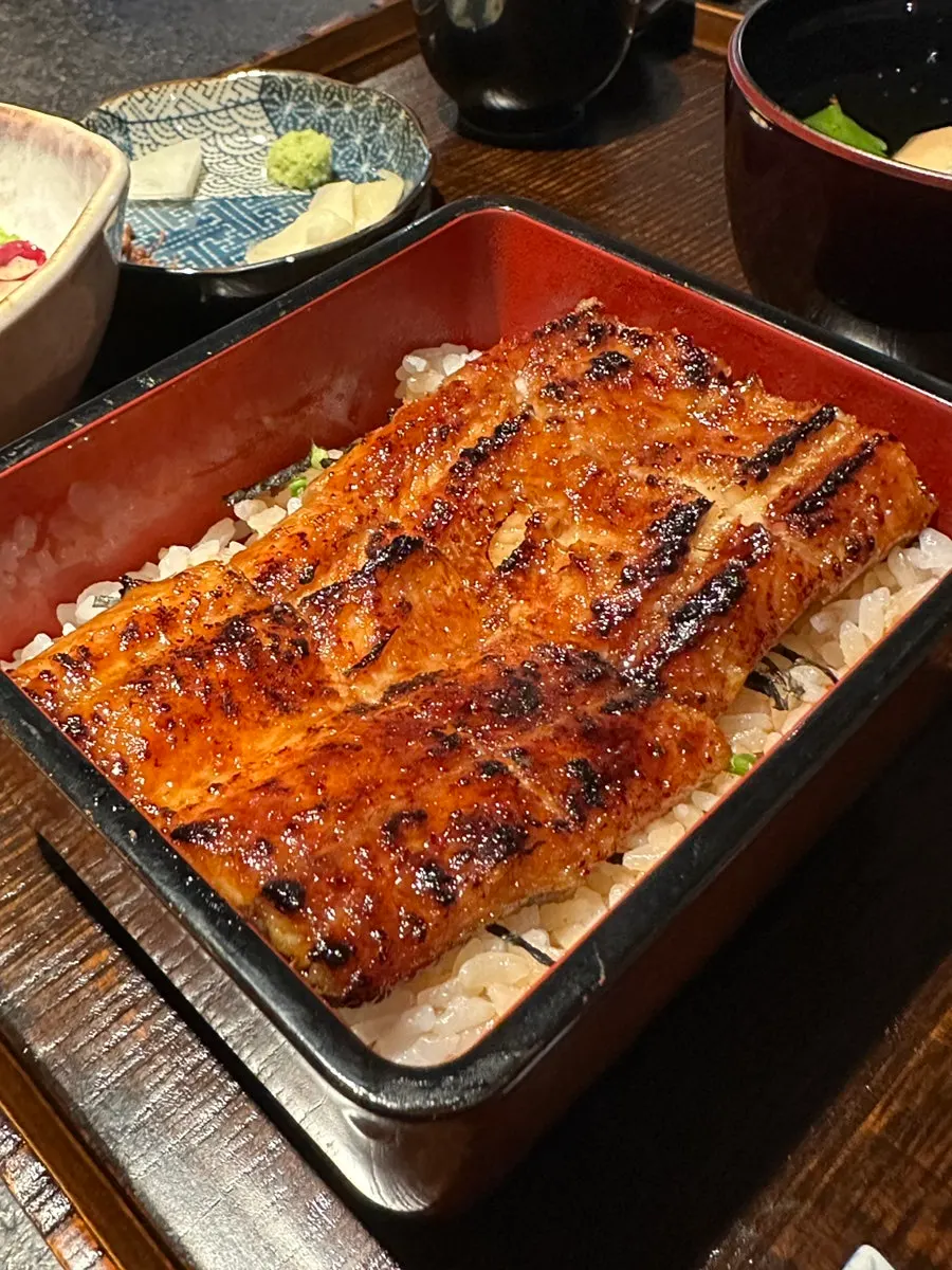 Close-up of charcoal-grilled eel