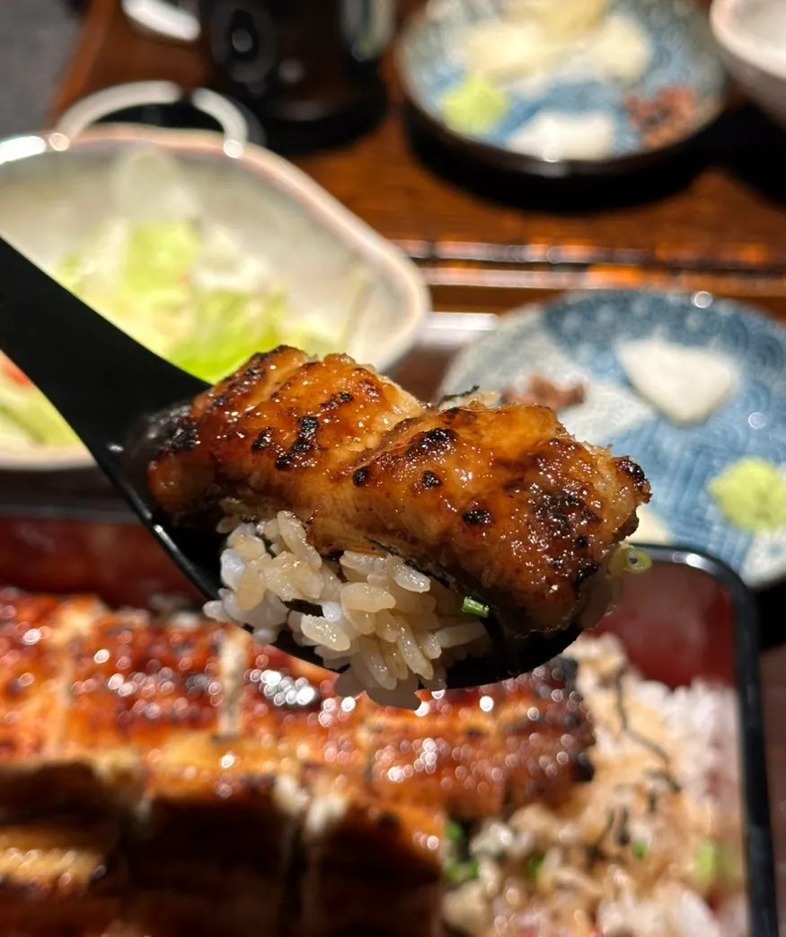 Grilled eel cut into thick pieces over rice