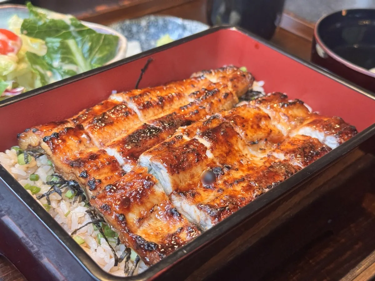 Kanto-style Gochang freshwater eel covering the rice
