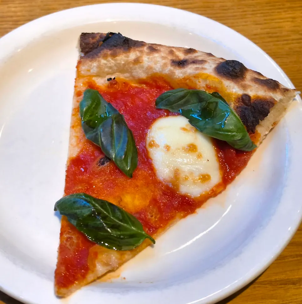 A slice of margherita pizza on a plate