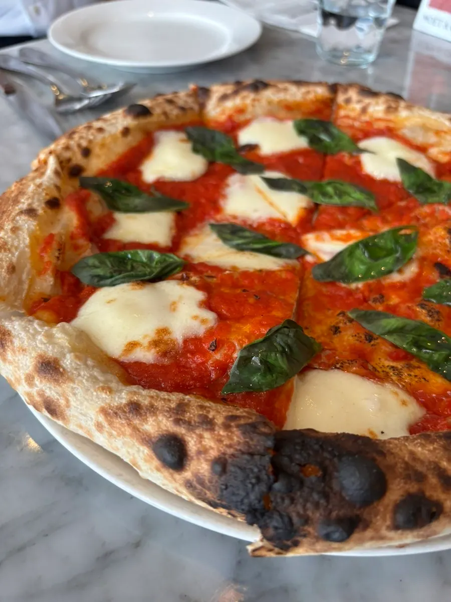Close-up of Margherita pizza topped with mozzarella and basil