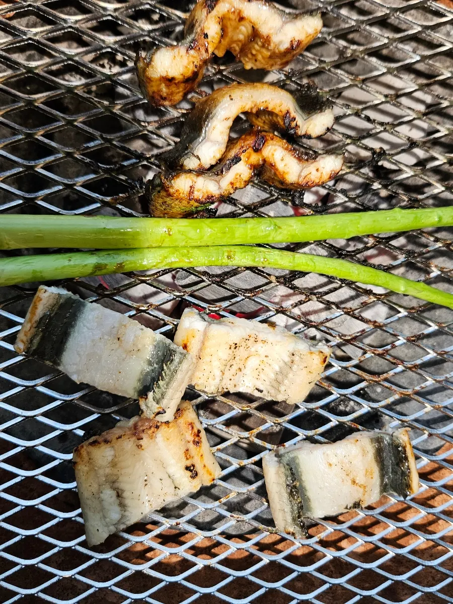 Close-up of glossy grilled eel