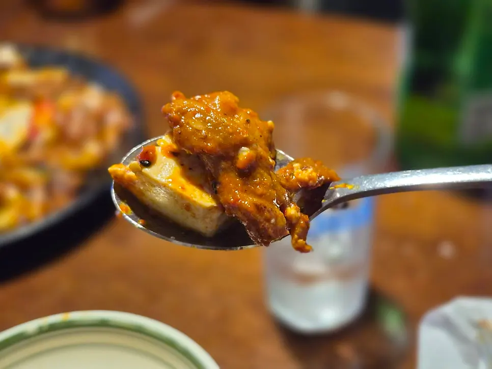 A plate combining tofu and pork