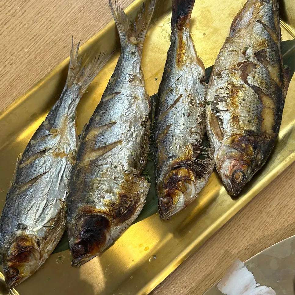 一人一匹ずつ出てきたコノシロ焼き