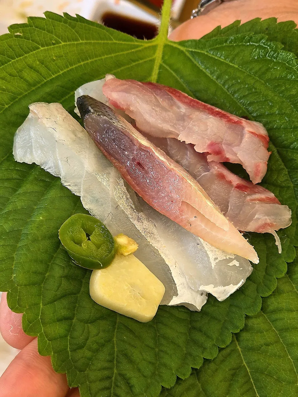 회와 해산물을 한 번에 올린 한입 조합