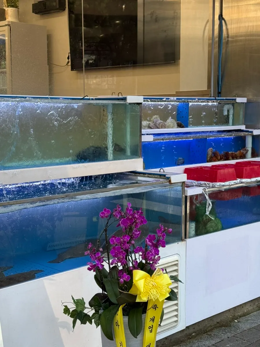 Entrance and fish tank at Jaecheoldameun Mapo Bada