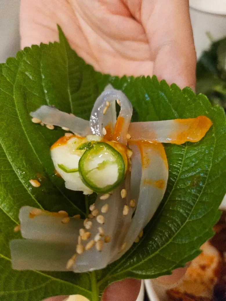 윤기 도는 활오징어회 디테일 컷