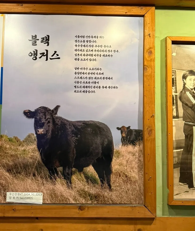 点的黑安格斯皇帝牛肋条