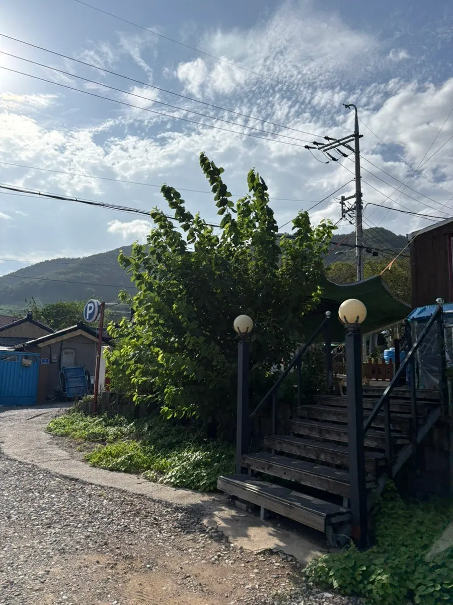 Relaxed scenery around the restaurant