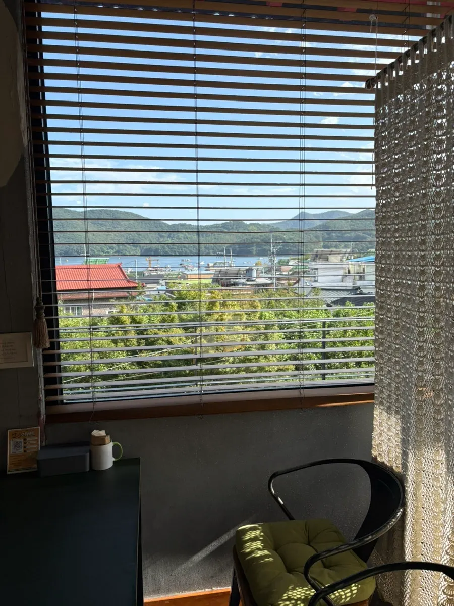 Calm restaurant cat