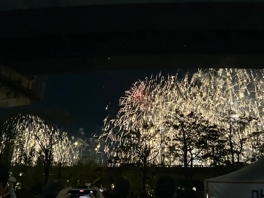 Fireworks festival seen from the Han River
