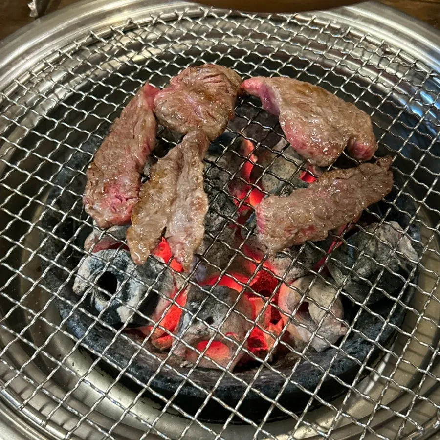 Plain rib meat showing visible marbling