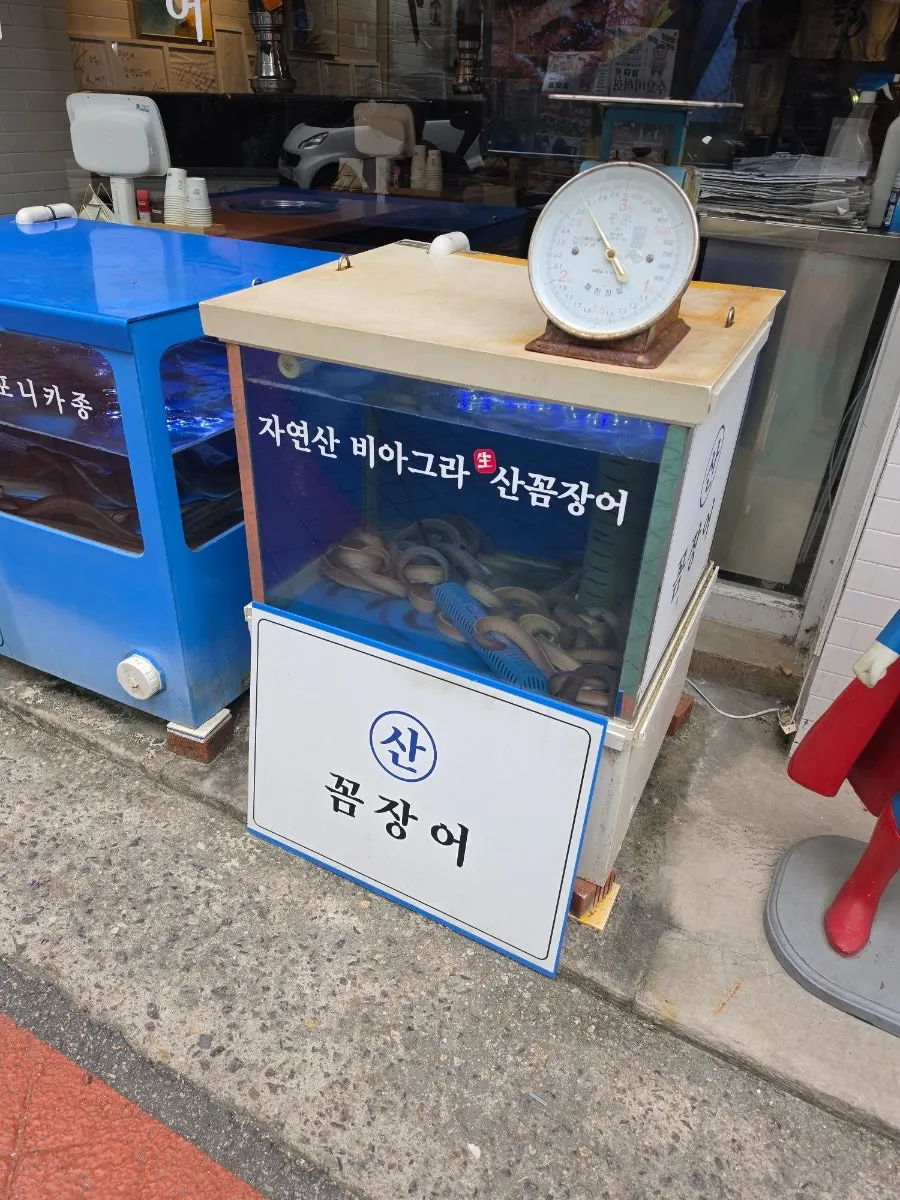 Fish tank outside the restaurant with a hagfish sign