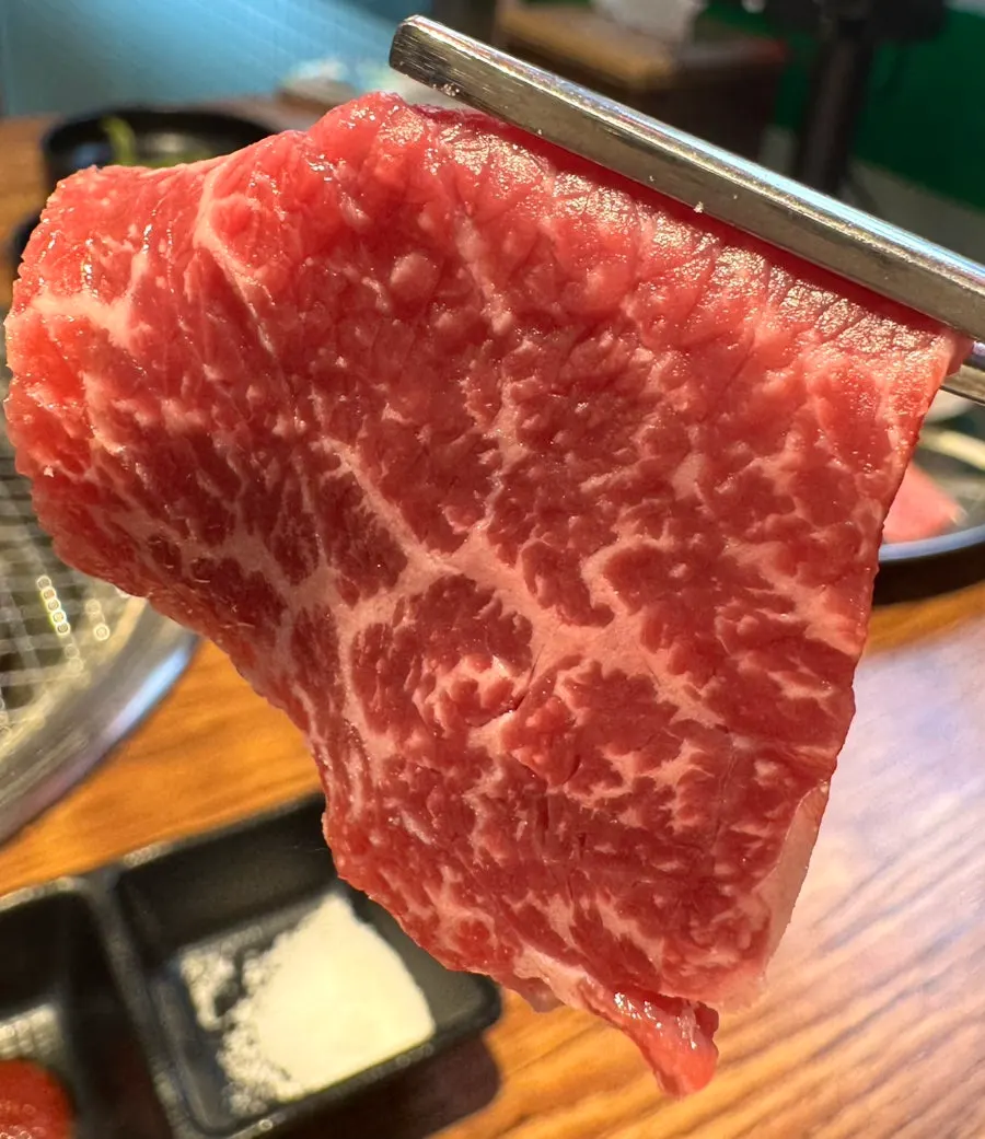 육사시미 마블링 클로즈업