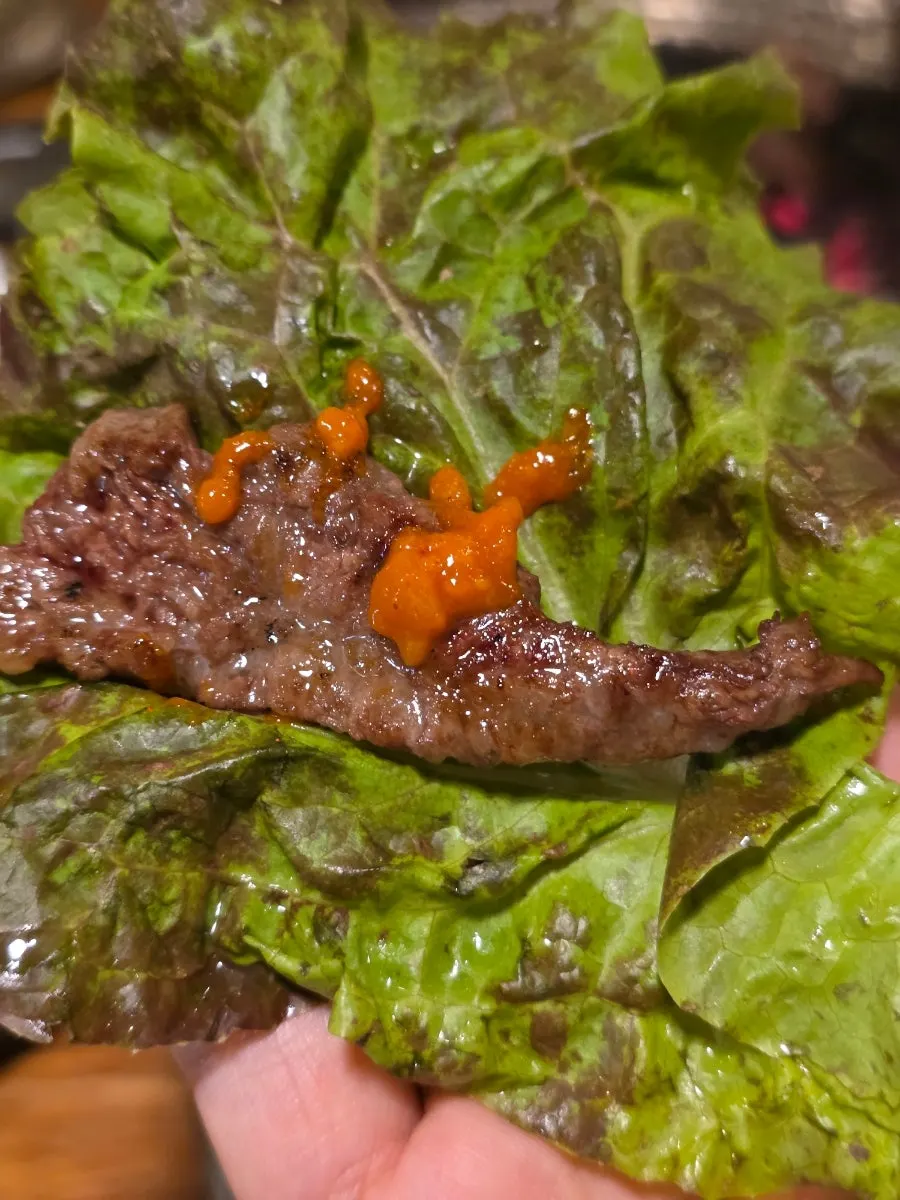 1.2 kg of clean-tasting beef rib meat at Mapo Mokjang near Mapo Station