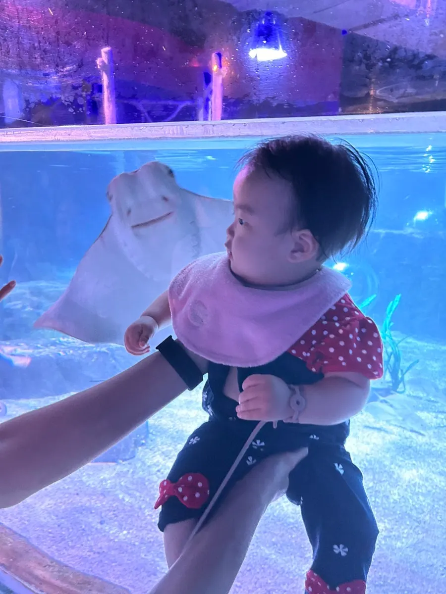 Aquarium visit after the meal