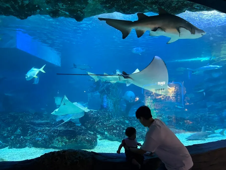 Aquarium visited after the meal