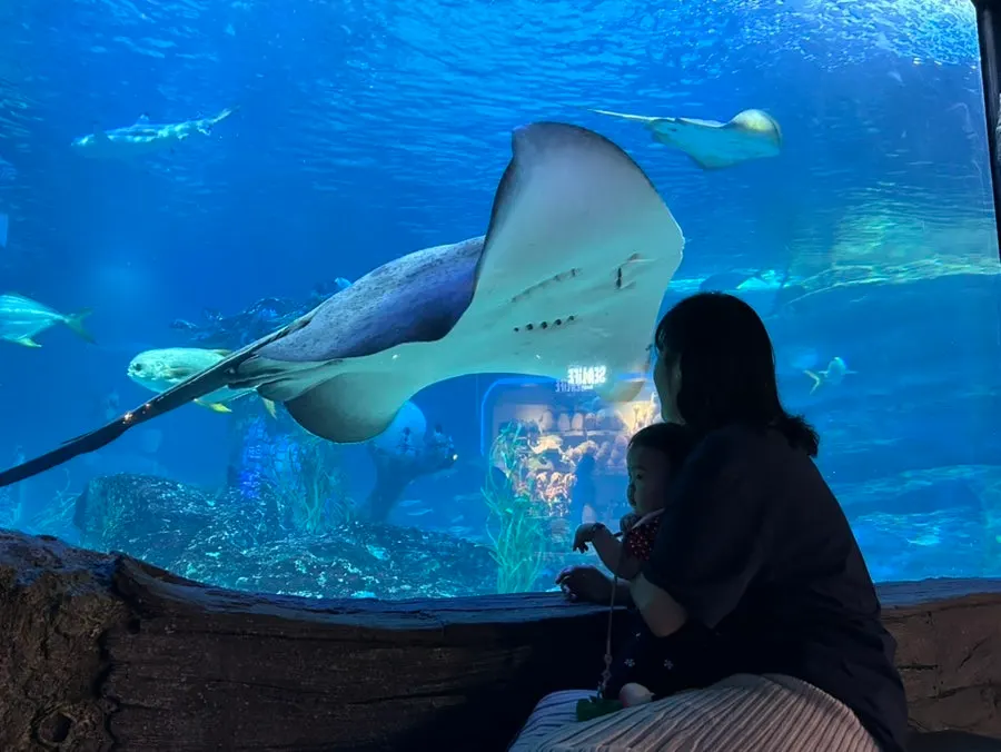 Busan itinerary continuing on to the aquarium